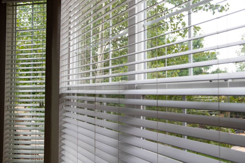 Window Blinds Repair in Spring